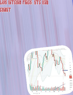Bitcoin price usd chart
