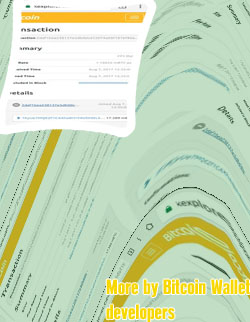 Bitcoin transaction screenshot