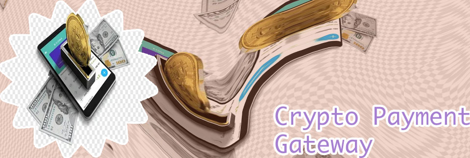 Cryptocurrency payment system