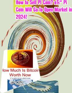 How much is pi worth cryptocurrency