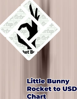 Rocket bunny crypto symbol