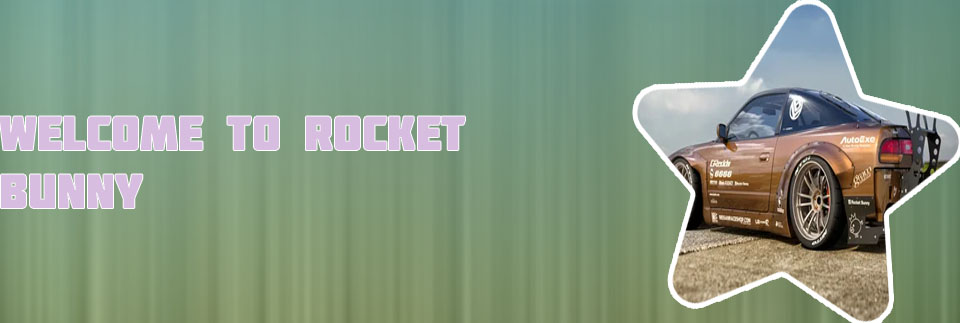 Rocket bunny crypto value