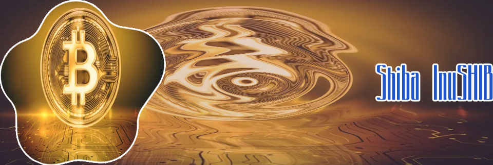 Shib crypto coin
